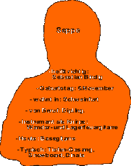 Steckbrief Seppe